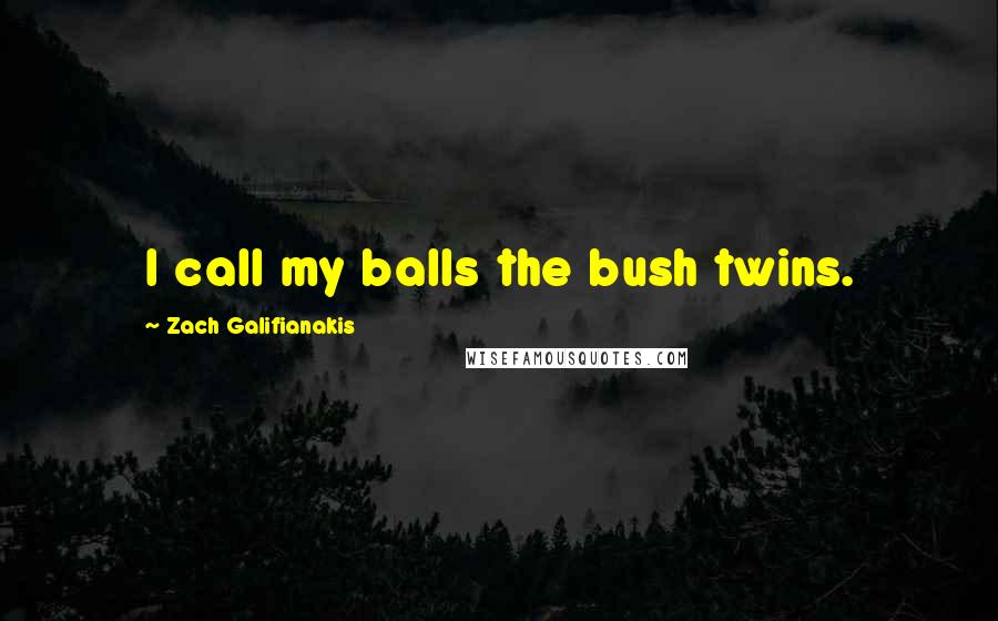 Zach Galifianakis Quotes: I call my balls the bush twins.