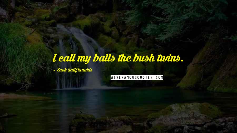 Zach Galifianakis Quotes: I call my balls the bush twins.