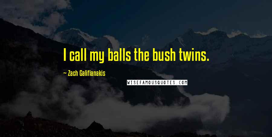 Zach Galifianakis Quotes: I call my balls the bush twins.