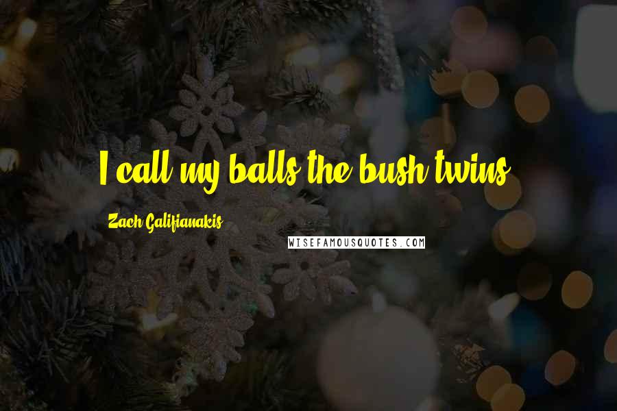 Zach Galifianakis Quotes: I call my balls the bush twins.