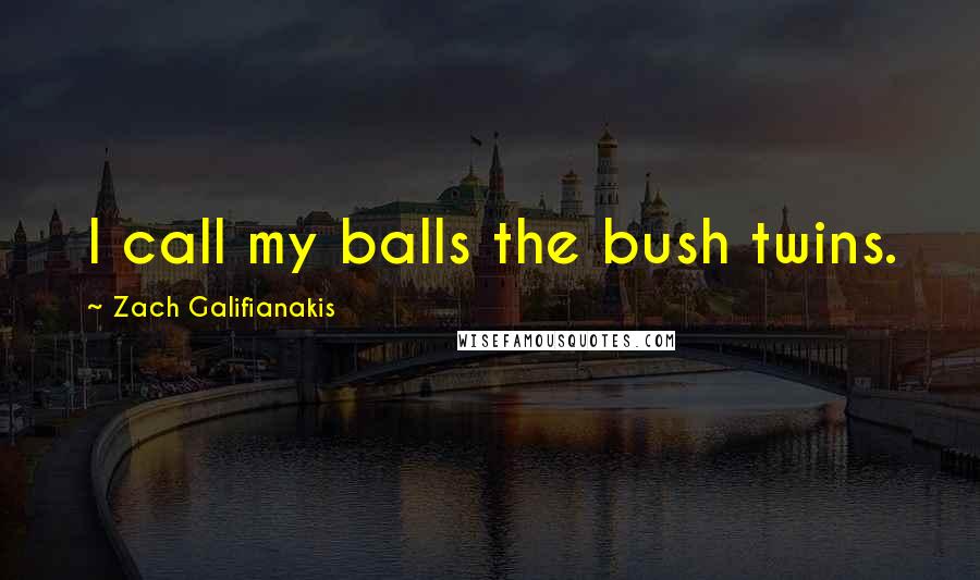 Zach Galifianakis Quotes: I call my balls the bush twins.