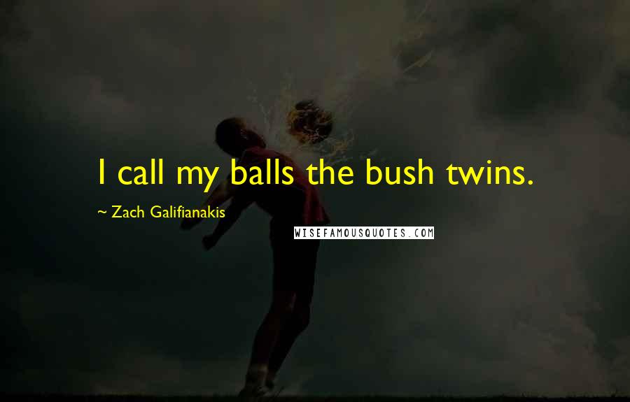 Zach Galifianakis Quotes: I call my balls the bush twins.