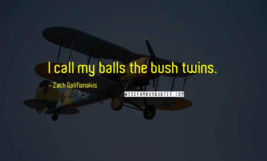 Zach Galifianakis Quotes: I call my balls the bush twins.