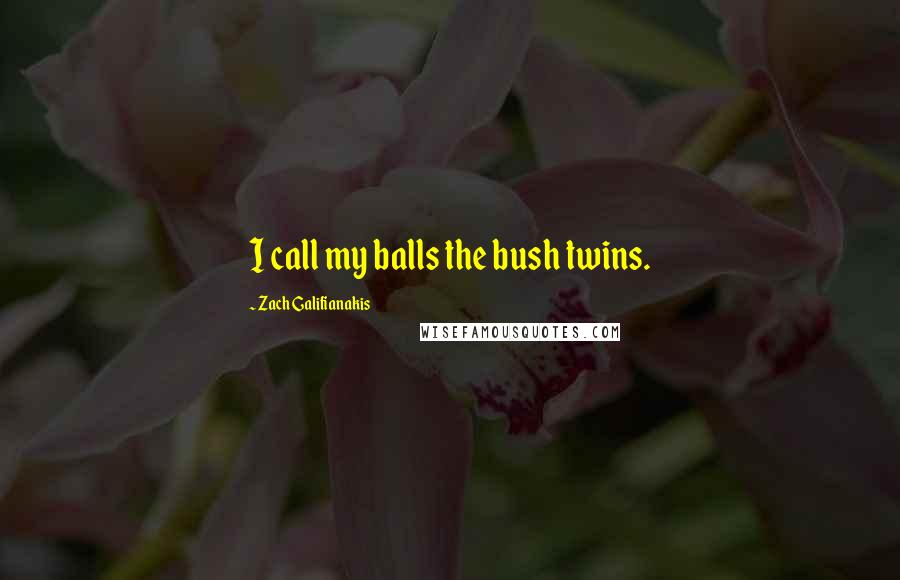 Zach Galifianakis Quotes: I call my balls the bush twins.