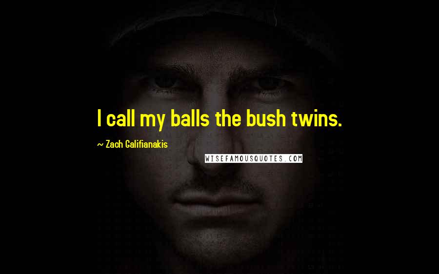 Zach Galifianakis Quotes: I call my balls the bush twins.