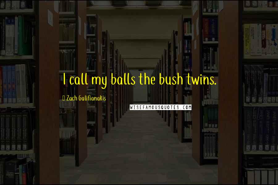 Zach Galifianakis Quotes: I call my balls the bush twins.