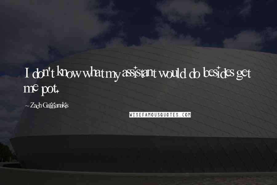 Zach Galifianakis Quotes: I don't know what my assistant would do besides get me pot.