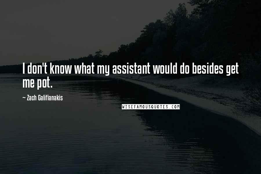 Zach Galifianakis Quotes: I don't know what my assistant would do besides get me pot.