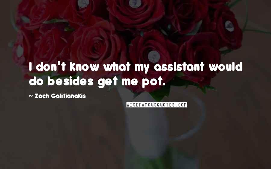 Zach Galifianakis Quotes: I don't know what my assistant would do besides get me pot.