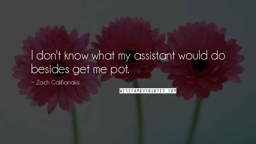 Zach Galifianakis Quotes: I don't know what my assistant would do besides get me pot.