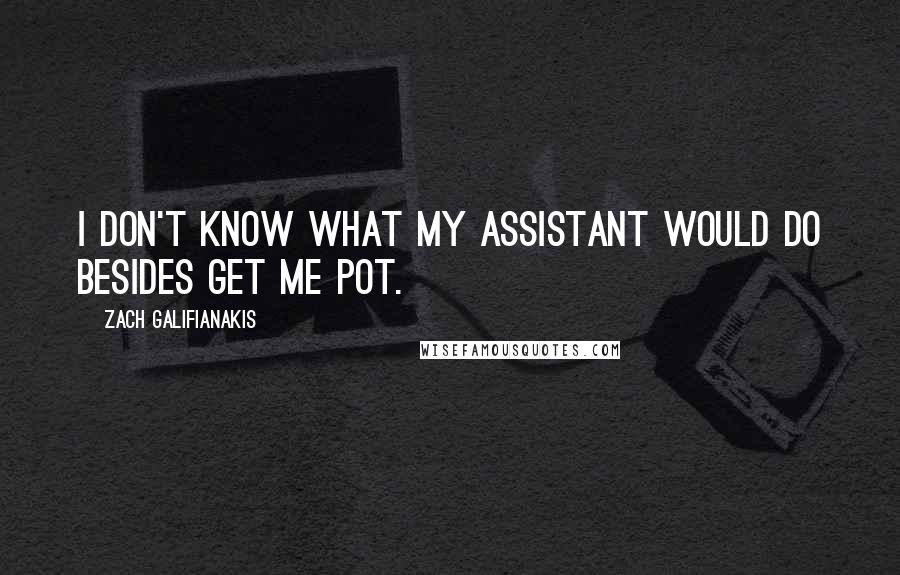 Zach Galifianakis Quotes: I don't know what my assistant would do besides get me pot.