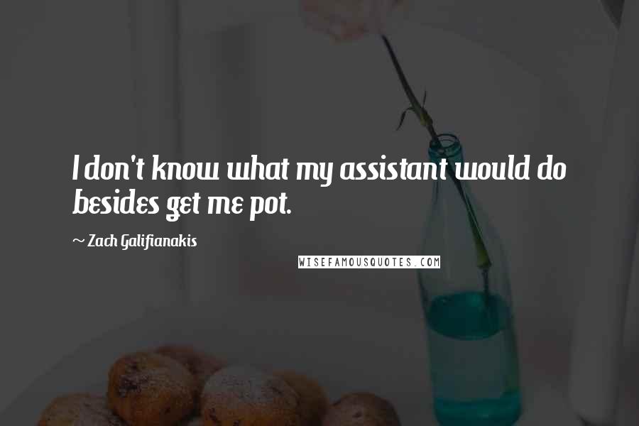 Zach Galifianakis Quotes: I don't know what my assistant would do besides get me pot.