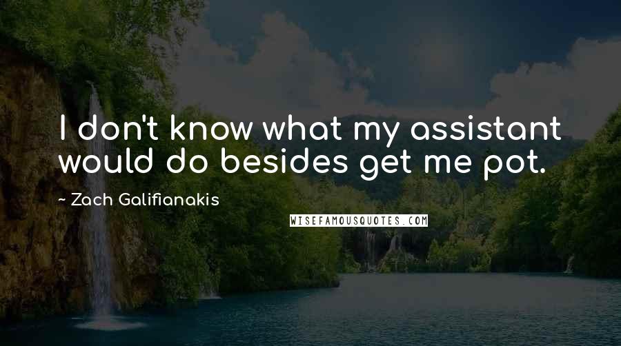 Zach Galifianakis Quotes: I don't know what my assistant would do besides get me pot.