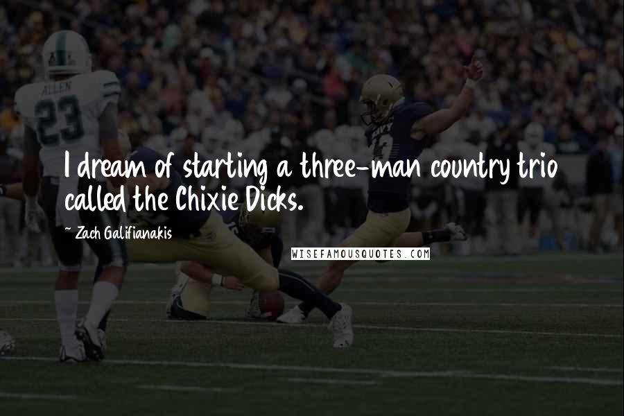 Zach Galifianakis Quotes: I dream of starting a three-man country trio called the Chixie Dicks.