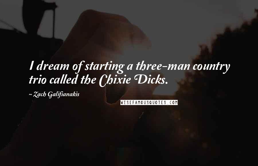 Zach Galifianakis Quotes: I dream of starting a three-man country trio called the Chixie Dicks.