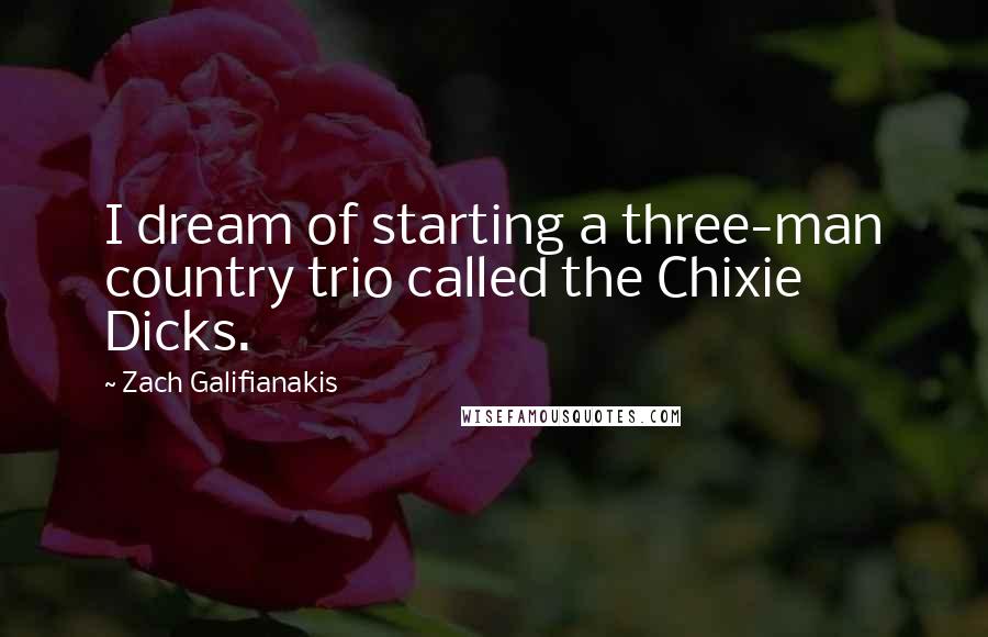 Zach Galifianakis Quotes: I dream of starting a three-man country trio called the Chixie Dicks.