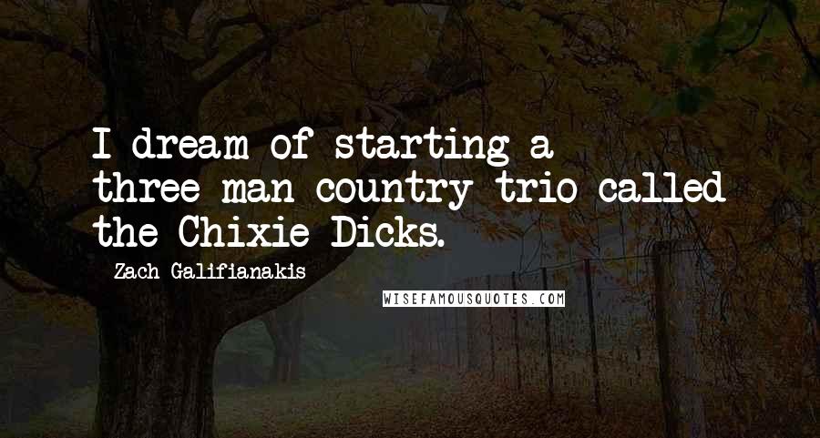 Zach Galifianakis Quotes: I dream of starting a three-man country trio called the Chixie Dicks.