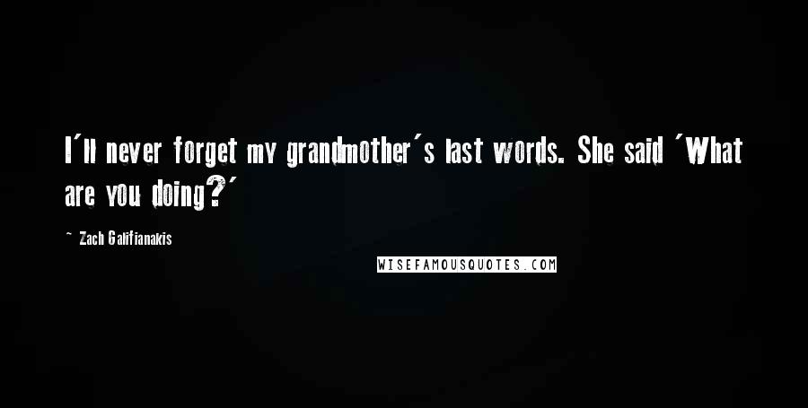 Zach Galifianakis Quotes: I'll never forget my grandmother's last words. She said 'What are you doing?'