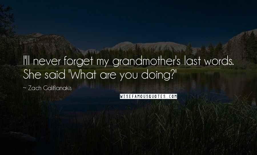 Zach Galifianakis Quotes: I'll never forget my grandmother's last words. She said 'What are you doing?'