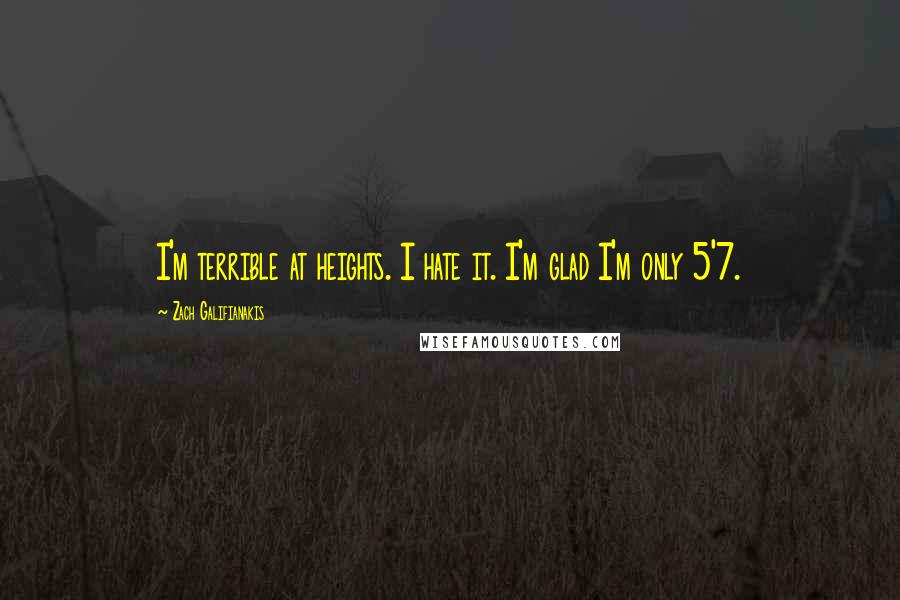 Zach Galifianakis Quotes: I'm terrible at heights. I hate it. I'm glad I'm only 5'7.