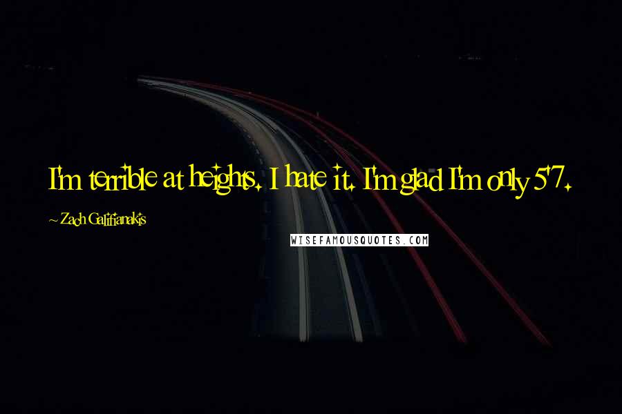 Zach Galifianakis Quotes: I'm terrible at heights. I hate it. I'm glad I'm only 5'7.