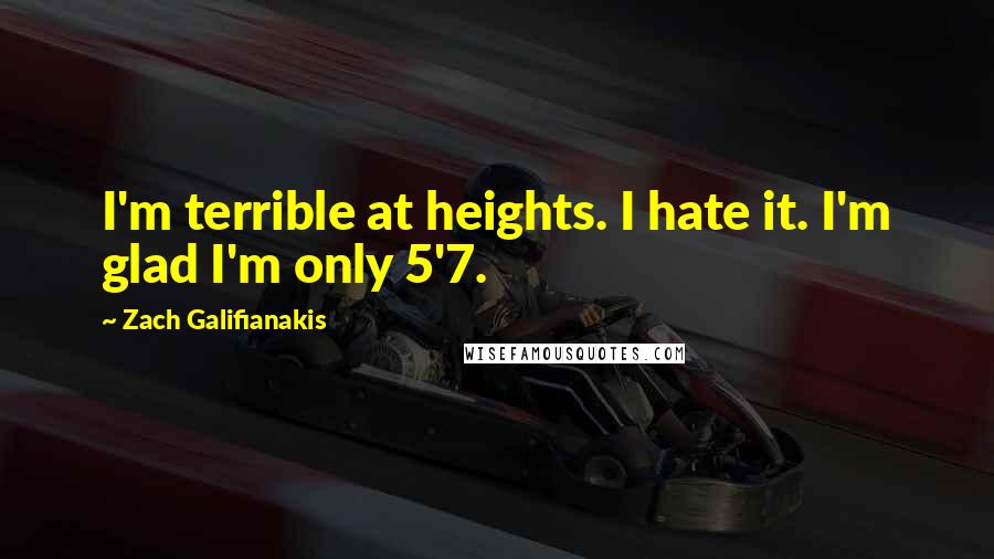 Zach Galifianakis Quotes: I'm terrible at heights. I hate it. I'm glad I'm only 5'7.