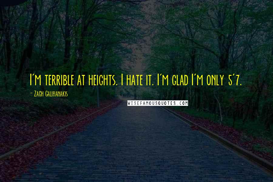 Zach Galifianakis Quotes: I'm terrible at heights. I hate it. I'm glad I'm only 5'7.