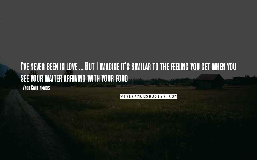 Zach Galifianakis Quotes: I've never been in love ... But I imagine it's similar to the feeling you get when you see your waiter arriving with your food