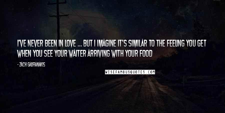 Zach Galifianakis Quotes: I've never been in love ... But I imagine it's similar to the feeling you get when you see your waiter arriving with your food