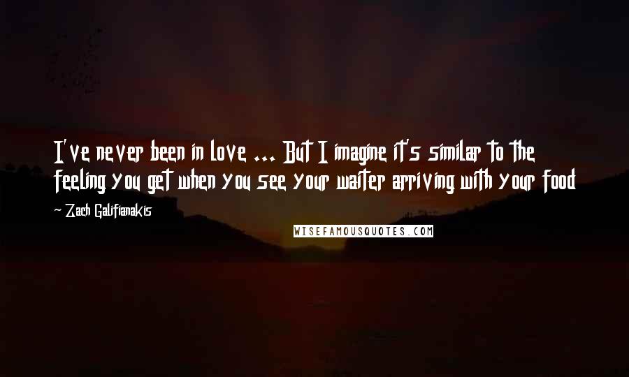 Zach Galifianakis Quotes: I've never been in love ... But I imagine it's similar to the feeling you get when you see your waiter arriving with your food