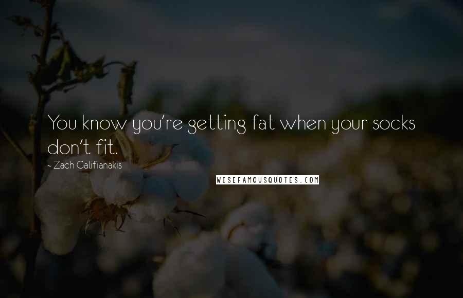 Zach Galifianakis Quotes: You know you're getting fat when your socks don't fit.