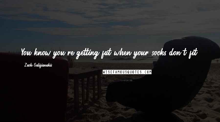 Zach Galifianakis Quotes: You know you're getting fat when your socks don't fit.