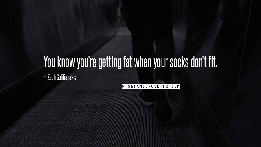 Zach Galifianakis Quotes: You know you're getting fat when your socks don't fit.