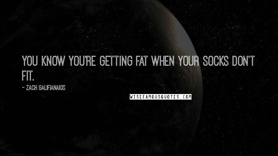 Zach Galifianakis Quotes: You know you're getting fat when your socks don't fit.