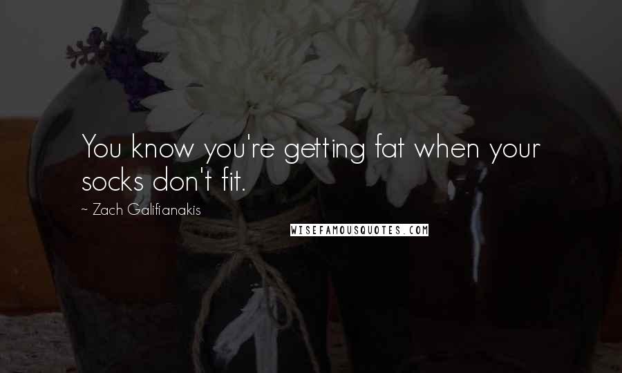Zach Galifianakis Quotes: You know you're getting fat when your socks don't fit.