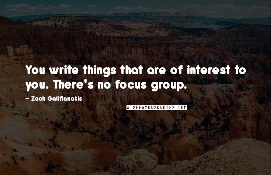 Zach Galifianakis Quotes: You write things that are of interest to you. There's no focus group.