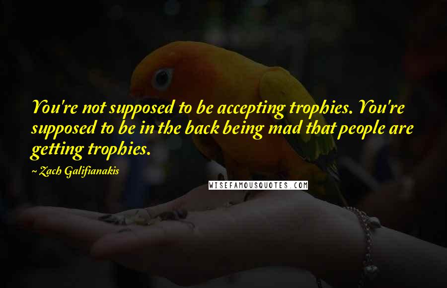 Zach Galifianakis Quotes: You're not supposed to be accepting trophies. You're supposed to be in the back being mad that people are getting trophies.