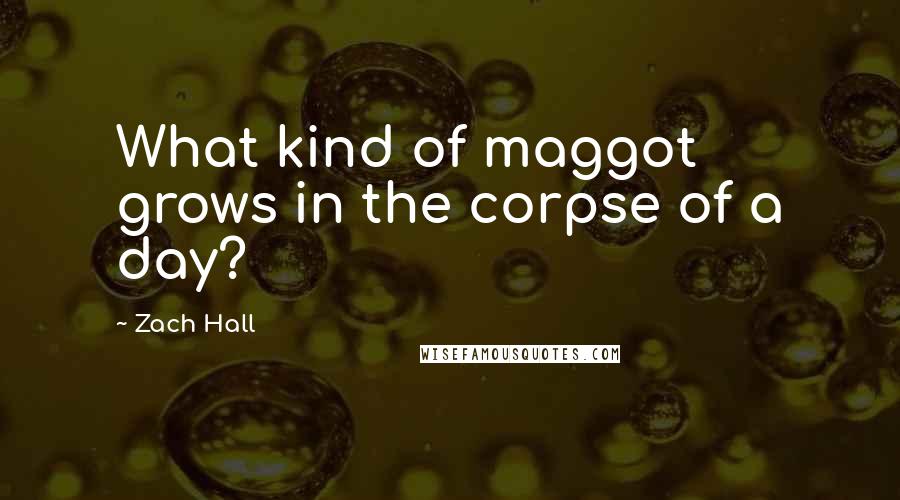 Zach Hall Quotes: What kind of maggot grows in the corpse of a day?