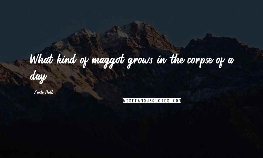 Zach Hall Quotes: What kind of maggot grows in the corpse of a day?
