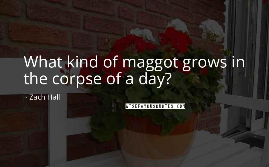 Zach Hall Quotes: What kind of maggot grows in the corpse of a day?