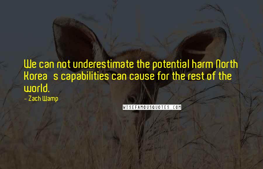 Zach Wamp Quotes: We can not underestimate the potential harm North Korea's capabilities can cause for the rest of the world.