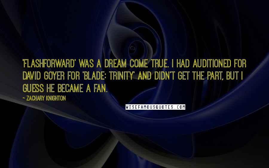 Zachary Knighton Quotes: 'FlashForward' was a dream come true. I had auditioned for David Goyer for 'Blade: Trinity' and didn't get the part, but I guess he became a fan.