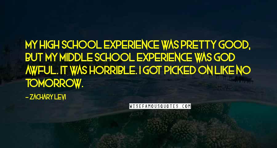 Zachary Levi Quotes: My high school experience was pretty good, but my middle school experience was god awful. It was horrible. I got picked on like no tomorrow.