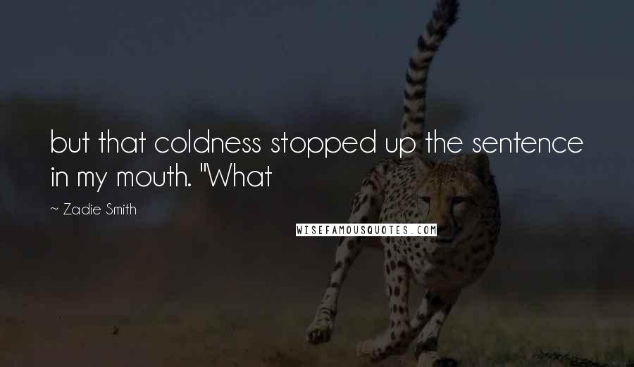 Zadie Smith Quotes: but that coldness stopped up the sentence in my mouth. "What