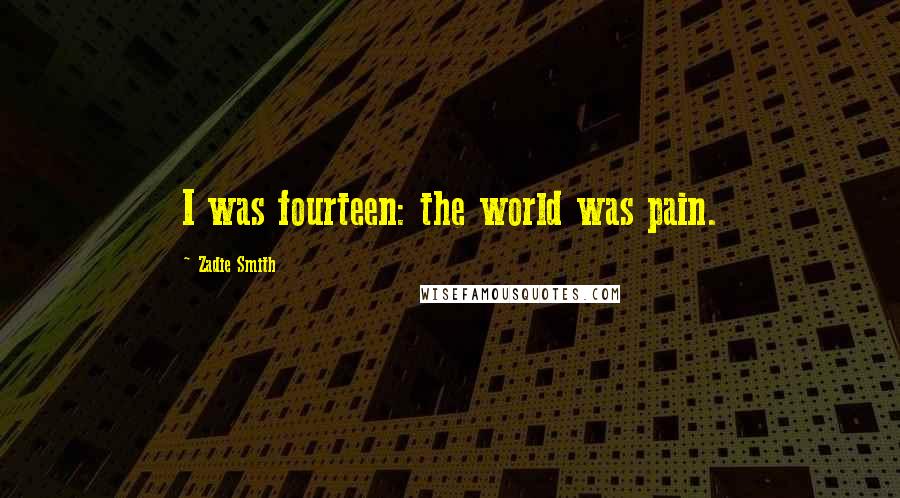 Zadie Smith Quotes: I was fourteen: the world was pain.