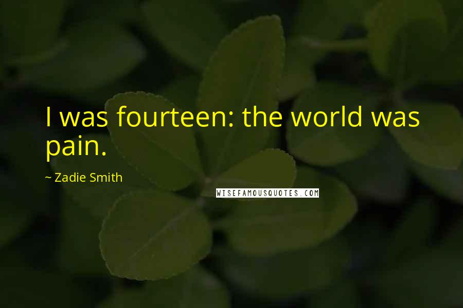 Zadie Smith Quotes: I was fourteen: the world was pain.