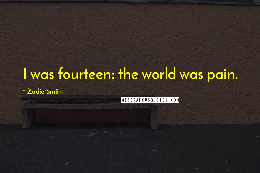 Zadie Smith Quotes: I was fourteen: the world was pain.