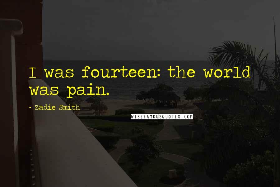 Zadie Smith Quotes: I was fourteen: the world was pain.