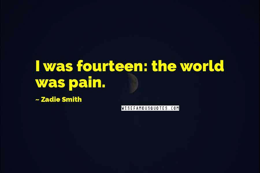 Zadie Smith Quotes: I was fourteen: the world was pain.