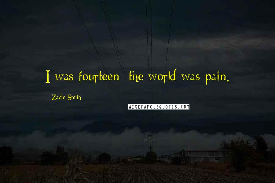 Zadie Smith Quotes: I was fourteen: the world was pain.